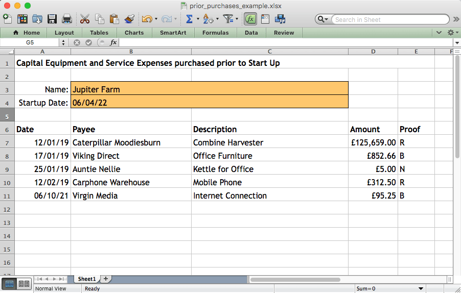 First Self Assessment Tax Return - Capital Equipment and Expenses